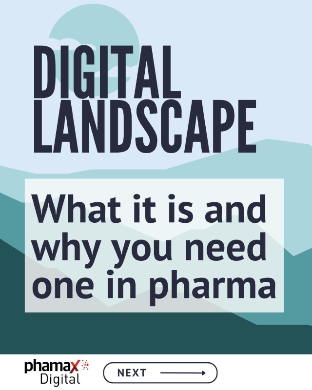 Cover of a pdf introducing the digital landscape analysis